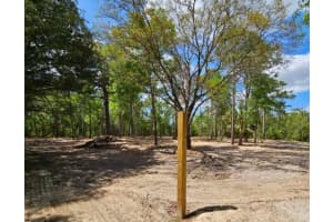 13409 CORMORANT ROAD, BROOKSVILLE, FL 34614 - MLS#MFRW7882060