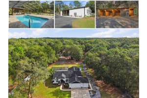 16000 Sam C Rd, BROOKSVILLE 16000 Sam C Rd, BROOKSVILLE