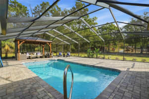 16000 SAM C ROAD, BROOKSVILLE, FL 34613 - MLS#MFRW7882070