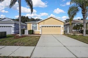 8049 SANGUINELLI ROAD, LAND O LAKES, FL 34637 - MLS#MFRW7882148