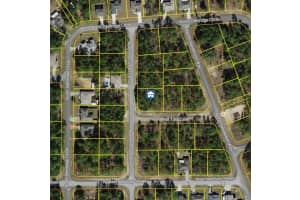 647 TULIP LANE, CITRUS SPRINGS, FL 34434 - MLS#MFRW7882182