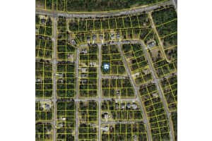 647 TULIP LANE, CITRUS SPRINGS, FL 34434 - MLS#MFRW7882182