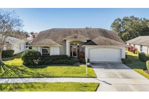 1211 Almondwood Dr, TRINITY 1211 Almondwood Dr, TRINITY