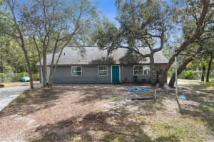 15236 MOTTLED OWL ROAD, BROOKSVILLE, FL 34614 - MLS#MFRW7882192