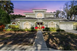 11003 NEST COURT, ODESSA, FL 33556 - MLS#MFRW7882195
