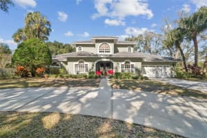 11003 NEST COURT, ODESSA, FL 33556 - MLS#MFRW7882195