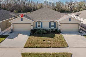 17911 Turning Leaf Cir, LAND O LAKES
