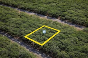 1650 BADGER DRIVE, DUNNELLON, FL 34434 Sold 03/03/26