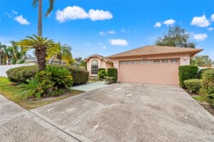 13504 FAWN RIDGE BOULEVARD, TAMPA, FL 33626 - MLS#MFRW7882282