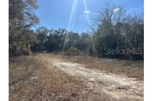 1162 SANDY LANE, HERNANDO, FL 34442 - MLS#MFRW7882286