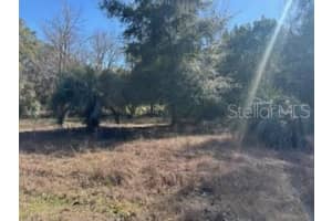 1162 SANDY LANE, HERNANDO, FL 34442 - MLS#MFRW7882286