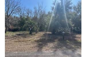 1162 SANDY LANE, HERNANDO, FL 34442 - MLS#MFRW7882286