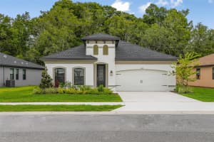 11335 STRIPED BASS COURT, NEW PORT RICHEY, FL 34654 - MLS#MFRW7882304