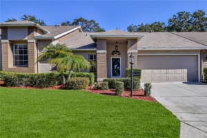 7437 NATURE WALK DRIVE, SPRING HILL, FL 34606 - MLS#MFRW7882306