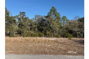 9630 WILDERNESS TRAIL, WEEKI WACHEE, FL 34613 - MLS#MFRW7882323