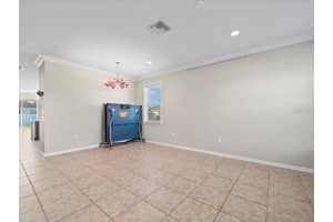 13366 BARKINGSIDE PLACE, SPRING HILL, FL 34609 - MLS#MFRW7882327