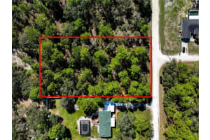 Lot 7 NUTHATCH ROAD, WEEKI WACHEE, FL 34614 - MLS#MFRW7882334