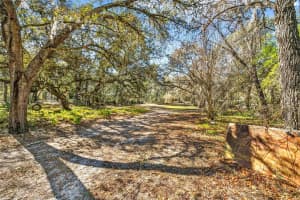 16624 HELEN K DRIVE, SPRING HILL, FL 34610 - MLS#MFRW7882365