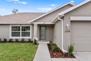 12399 PIPING PLOVER AVENUE, WEEKI WACHEE, FL 34614 - MLS#MFRW7882367