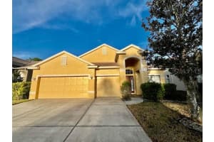 11453 Belle Haven Dr, NEW PORT RICHEY