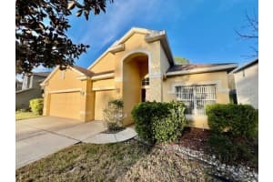 11453 BELLE HAVEN DRIVE, NEW PORT RICHEY, FL 34654 - MLS#MFRW7882391