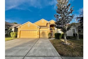 11453 BELLE HAVEN DRIVE, NEW PORT RICHEY, FL 34654 - MLS#MFRW7882391