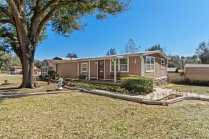 20406 PEACHTREE LANE, DADE CITY, FL 33523 - MLS#MFRW7882404