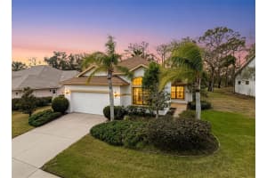 14345 PIMBERTON DRIVE, HUDSON, FL 34667 - MLS#MFRW7882423