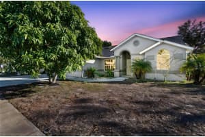 377 Wood Chuck Ave, TARPON SPRINGS 377 Wood Chuck Ave, TARPON SPRINGS