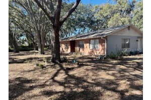 1918 SYDNEY ROAD, VALRICO, FL 33594 - MLS#MFRW7882463