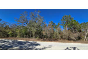 13231 ROAD RUNNER AVENUE, WEEKI WACHEE, FL 34614 - MLS#MFRW7882487