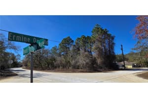 13231 ROAD RUNNER AVENUE, WEEKI WACHEE, FL 34614 - MLS#MFRW7882487