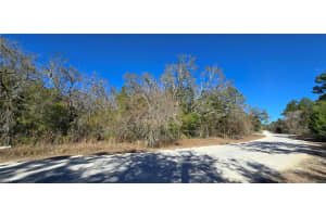 13231 ROAD RUNNER AVENUE, WEEKI WACHEE, FL 34614 - MLS#MFRW7882487