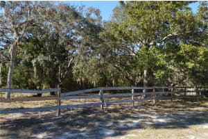 18117 BRANCH ROAD, HUDSON, FL 34667 - MLS#MFRW7882500