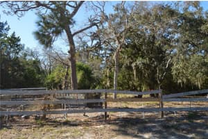 18117 BRANCH ROAD, HUDSON, FL 34667 - MLS#MFRW7882500