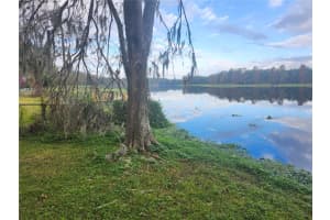 3606 RIVER GROVE DRIVE, TAMPA, FL 33610 - MLS#MFRW7882573