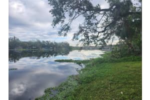 3606 RIVER GROVE DRIVE, TAMPA, FL 33610 - MLS#MFRW7882573