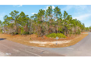 6932 GLENRIDGE CIRCLE, CITRUS SPRINGS, FL 34434 - MLS#MFRW7882575