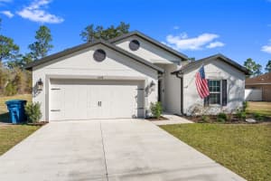 11014 GOLDEN WARLBER, BROOKSVILLE, FL 34613 - MLS#MFRW7882609