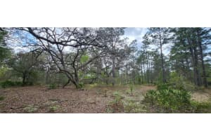 12090 OSPREY AVENUE, WEEKI WACHEE, FL 34614 - MLS#MFRW7882641