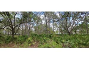 12090 OSPREY AVENUE, WEEKI WACHEE, FL 34614 - MLS#MFRW7882641