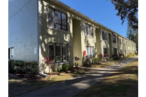 1761 Cupecoy Cir #1, LUTZ 1761 Cupecoy Cir #1, LUTZ