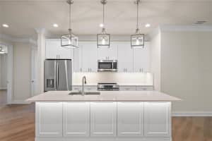 199 LIVE OAK STREET, TARPON SPRINGS, FL 34689 - MLS#MFRW7882673