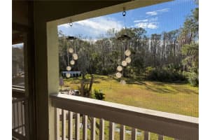 1775 CUPECOY CIRCLE, LUTZ, FL 33558 - MLS#MFRW7882677