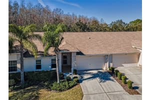 1549 ARLINGTON OAKS COURT, TRINITY, FL 34655 - MLS#MFRW7882702