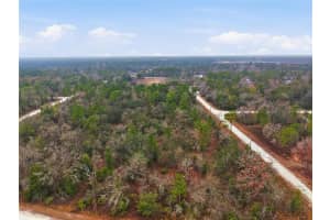 14080 CAGARRO ROAD, BROOKSVILLE, FL 34614 - MLS#MFRW7882704