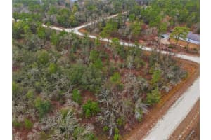 14080 CAGARRO ROAD, BROOKSVILLE, FL 34614 - MLS#MFRW7882704