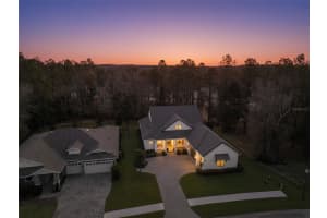 4581 MAJESTIC HILLS LOOP, BROOKSVILLE, FL 34601 - MLS#MFRW7882748