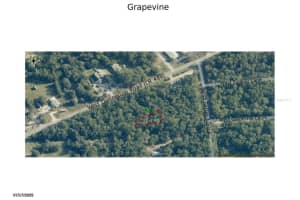 3077 GRAPEVINE COURT, DUNNELLON, FL 34433 - MLS#MFRW7882763