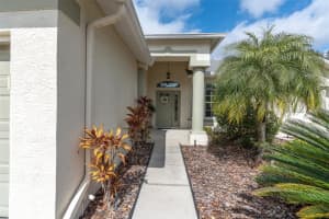 11429 HIDDEN COVE CT., TRINITY, FL 34655 - MLS#MFRW7882764
